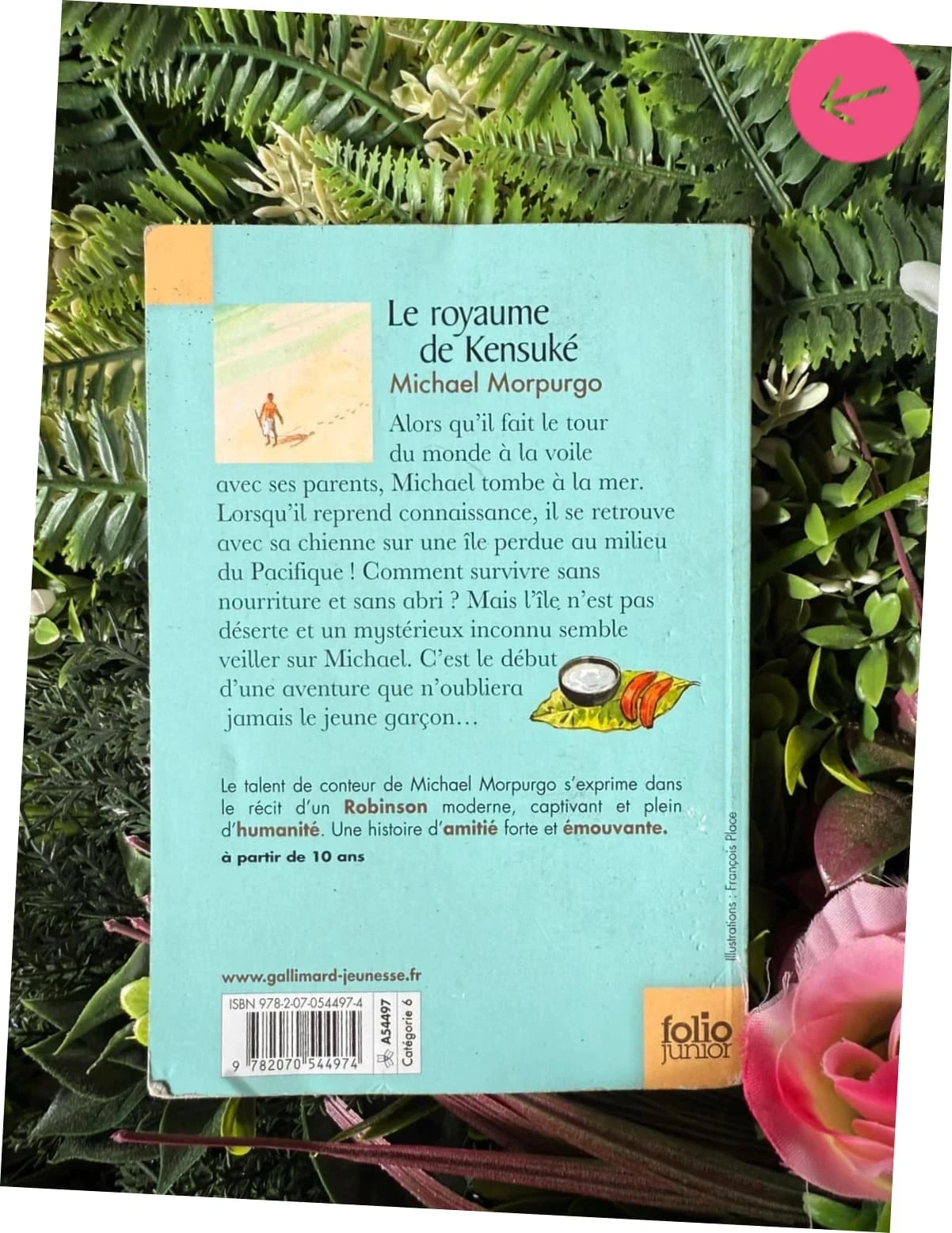 Livre le royaume de kenzuke bien servie – photo 5